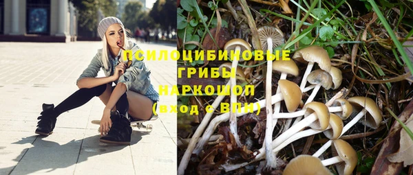молекула духа Зерноград