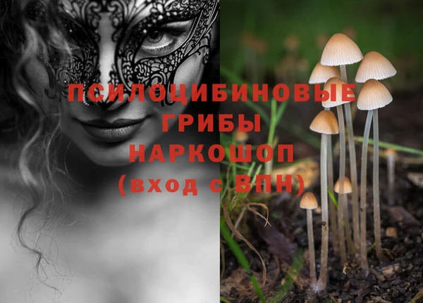 ECSTASY Зеленокумск