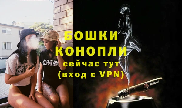молекула духа Зерноград