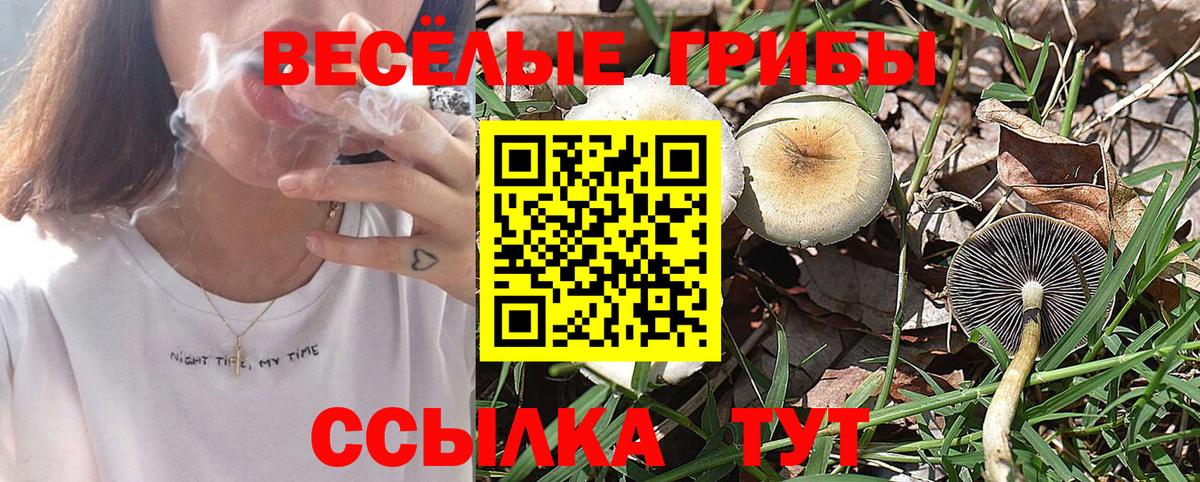 Галлюциногенные грибы Psilocybine cubensis  Вход с VPN  Кубинка 